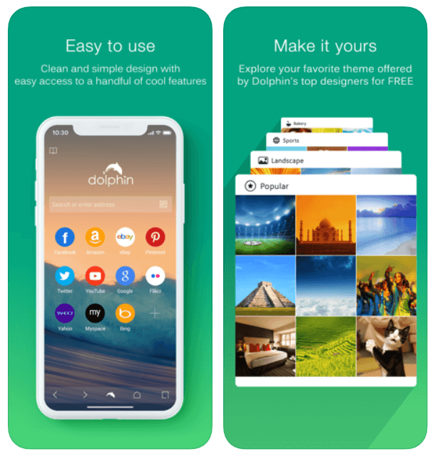 Dolphin browser for iPhone