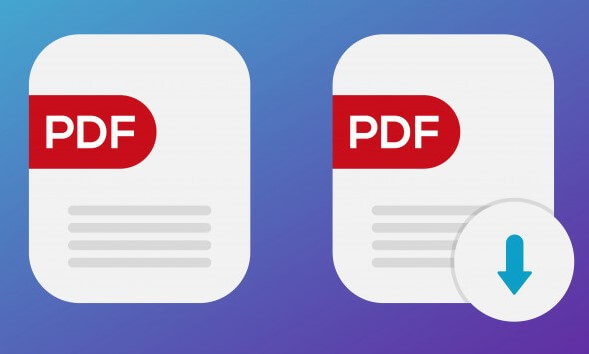 What is PDF