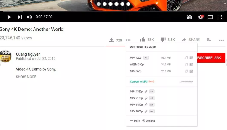 YouTube Video Downloader