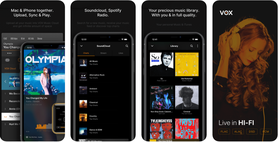 VOX – MP3 & FLAC Music Player