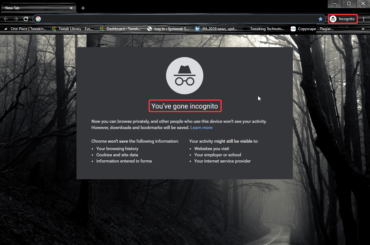 google incognito mode
