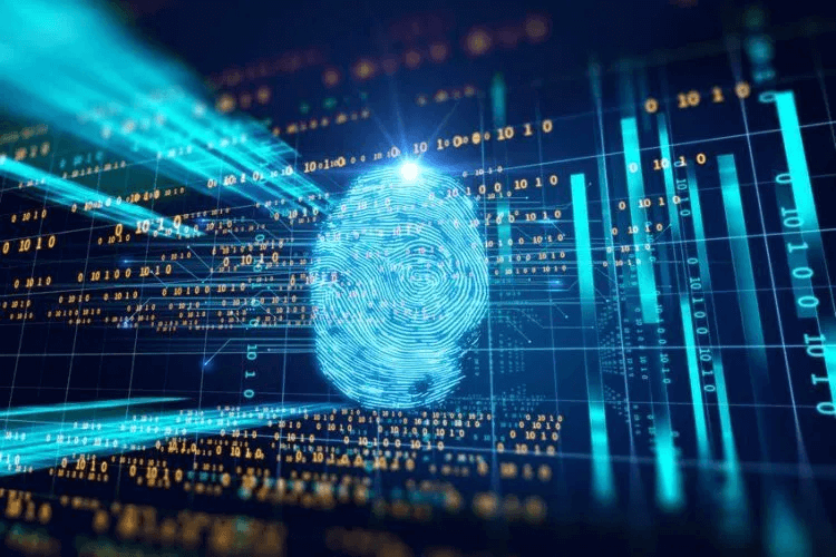 Browser Fingerprinting Are There