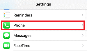 Open phone option on iPhone