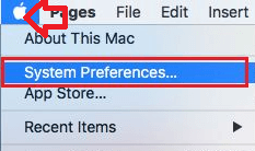 Select System Preference on Mac