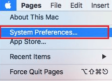 Select System preference