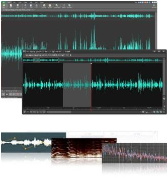 Wavepad Audio Editing Software