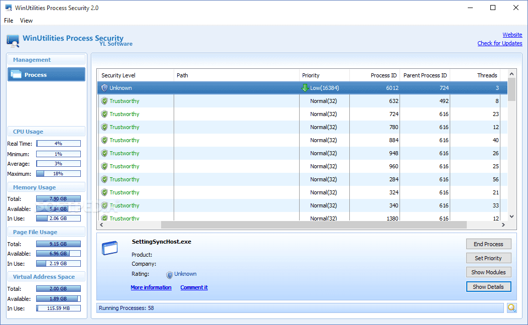 WinUtilities Process Security