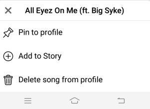 Pin song on Facebook Profile