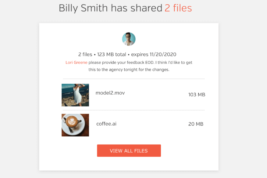 alternative to We Transfer