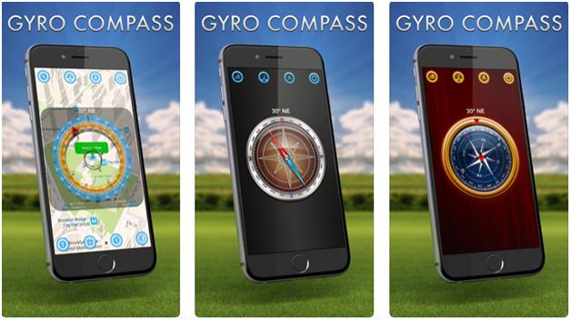 Gyro Compass