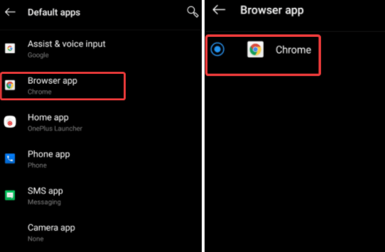 Browser App and Chrome