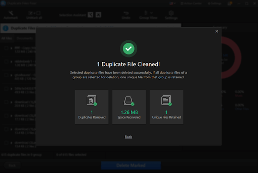 detected duplicate files