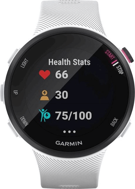 Garmin Smartwatch