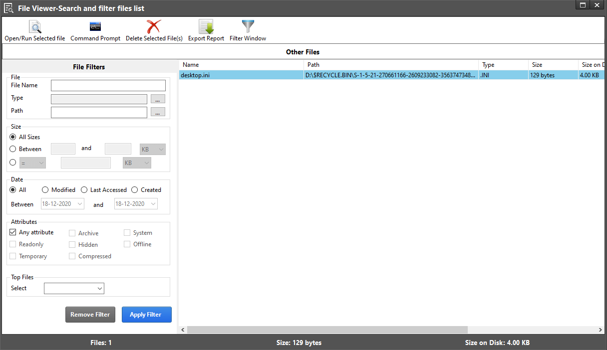 Disk Analyzer Pro - Search and Filter Files First