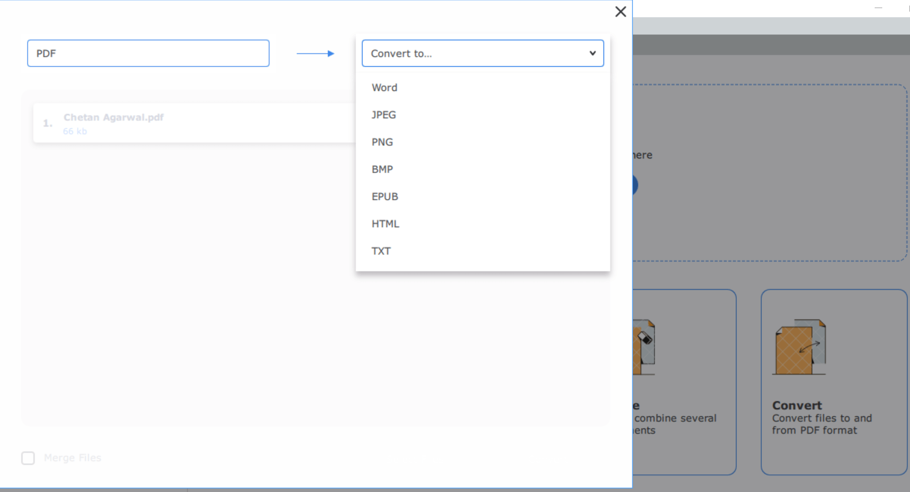 Convert PDF File type