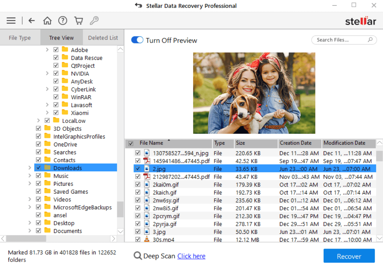 Stellar Data Recovery