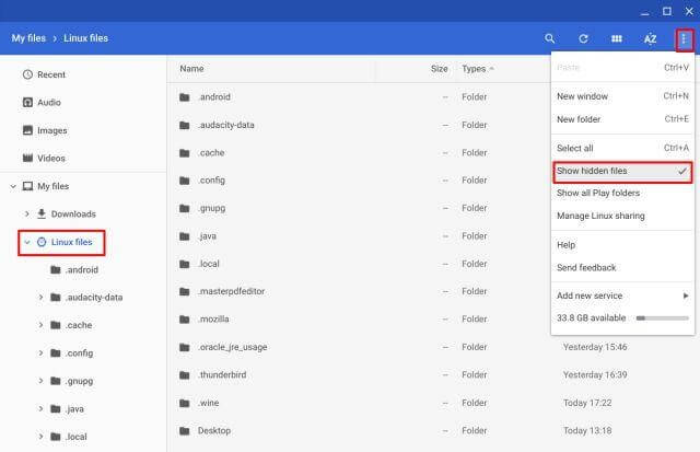 Enable Show Hidden Files