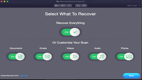 Stellar Data Recovery