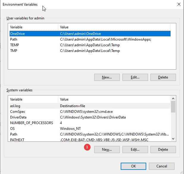 System variable