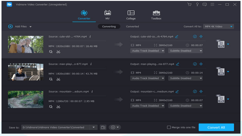 Vidmore Video Converter