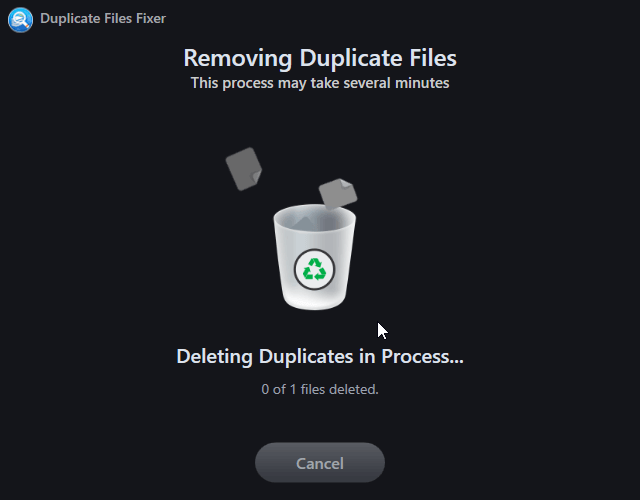 Duplicate files