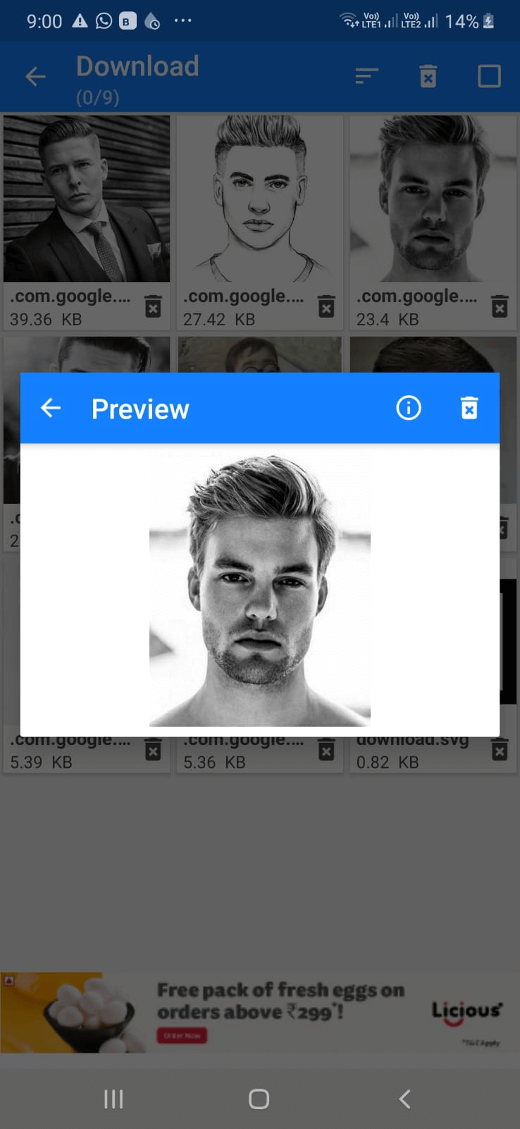 Preview