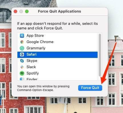 Safari