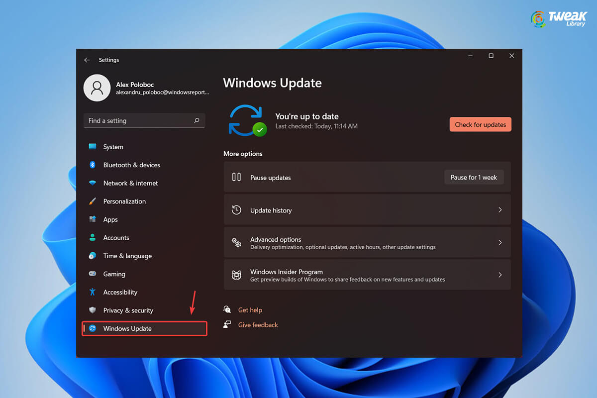 8 Things To Do Before Upgrading To Windows 11