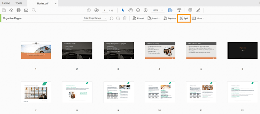 Organize Pages