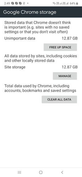 Google Chrome Storage