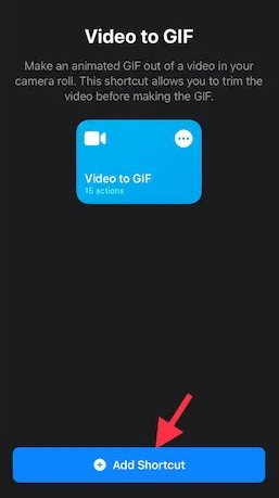 Video to GIF