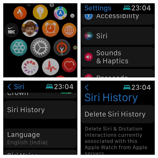 Siri History