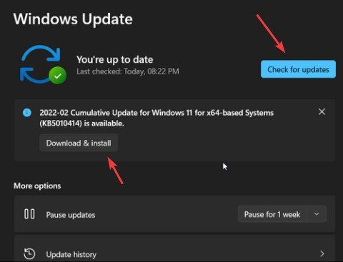 check windows update