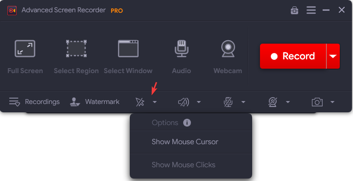 show-mouse-cursor