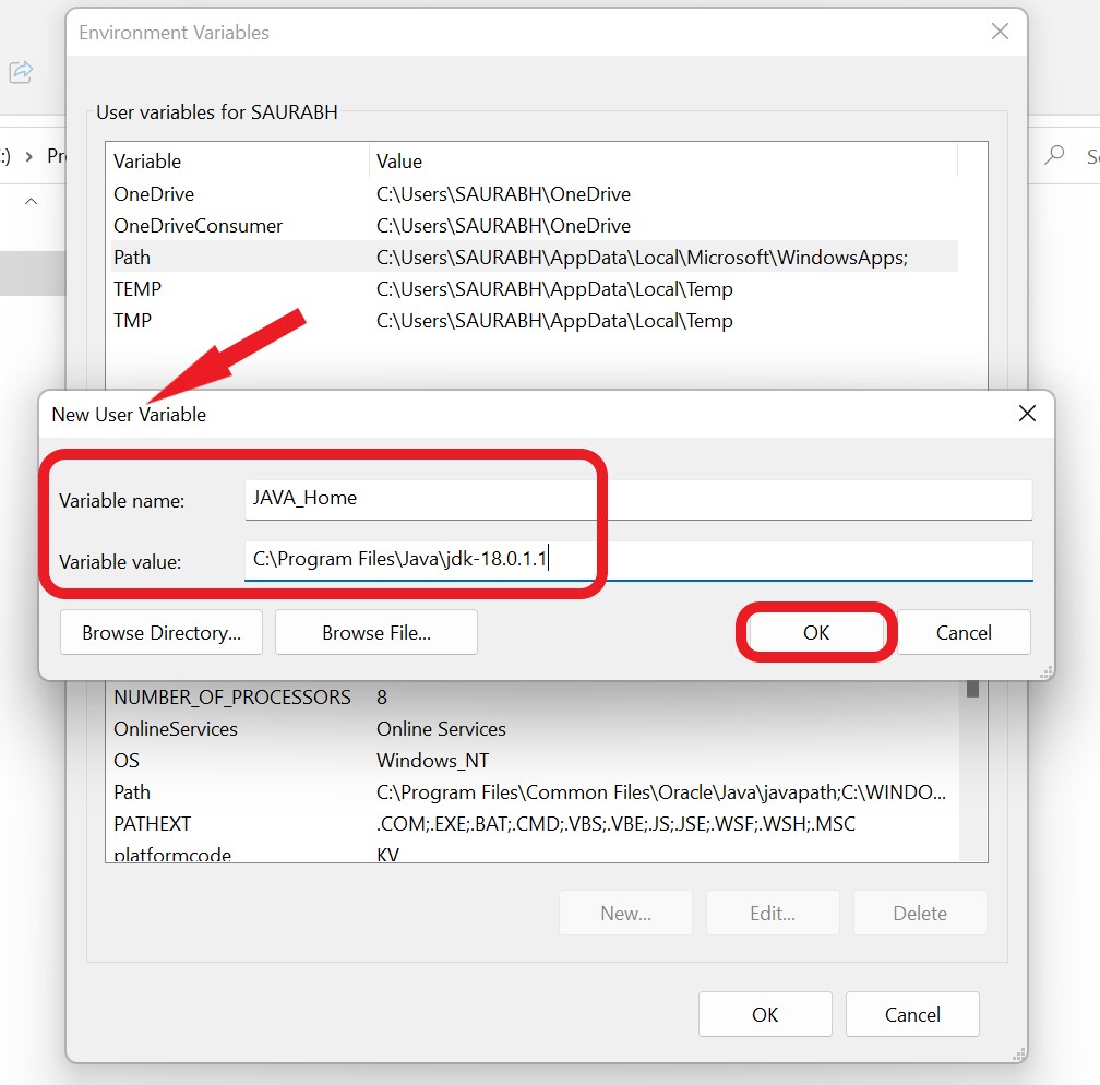 variable name and value