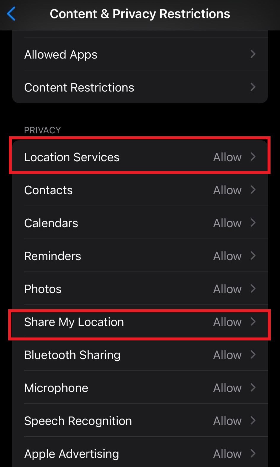 Fix Share My Location Not Working on iPhone