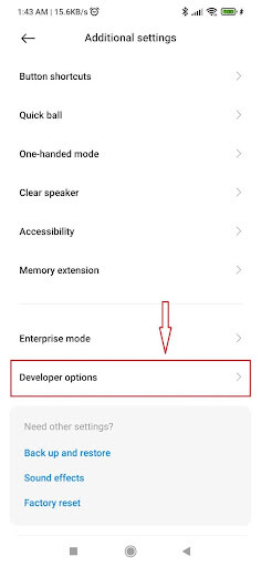 Developer options