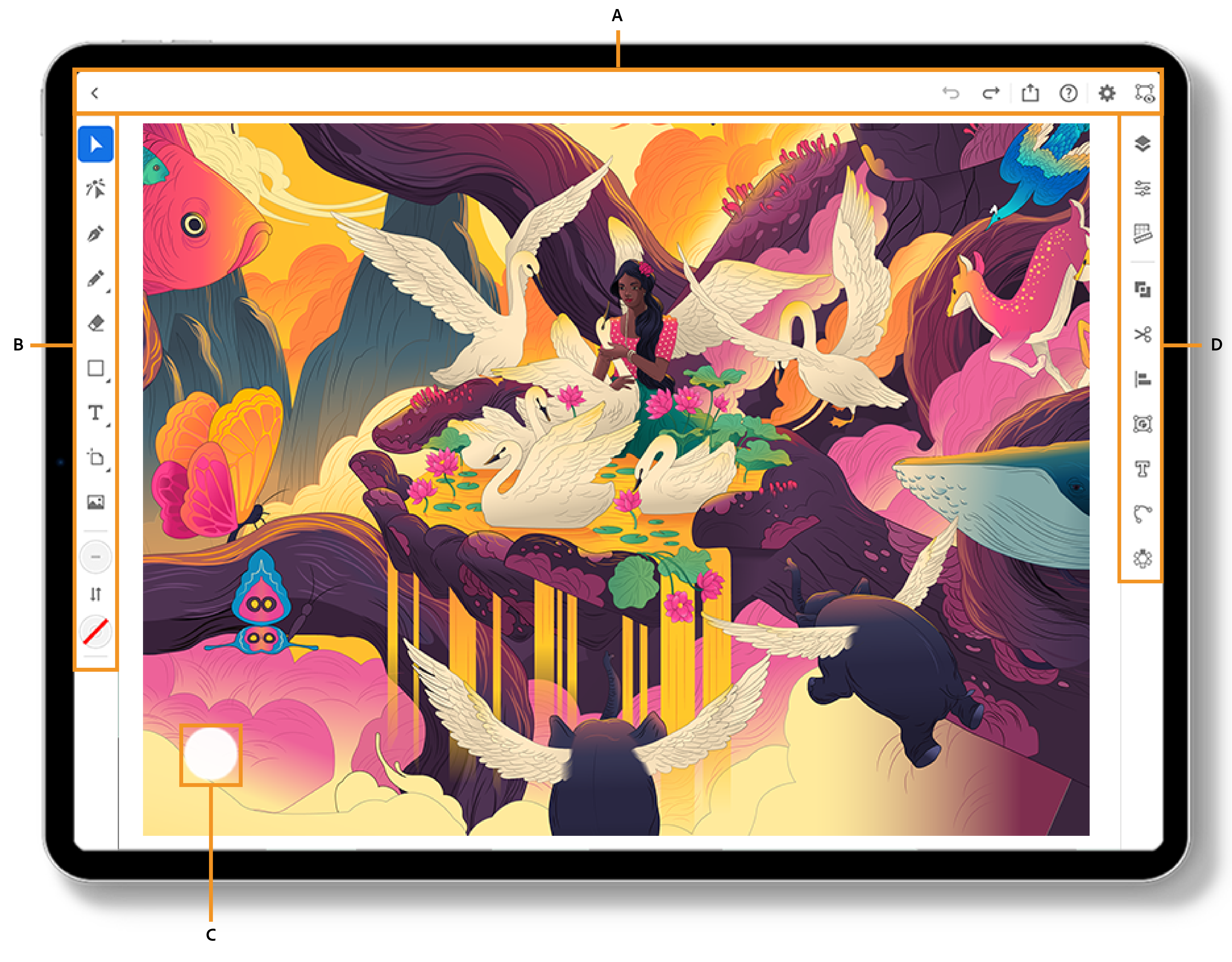 Adobe Illustrator App