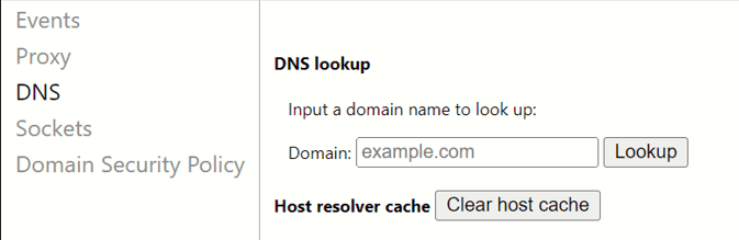 DNS lookup