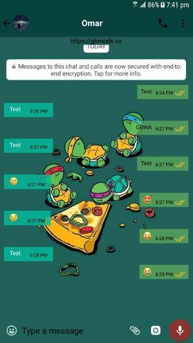 Teenage Mutant Ninja