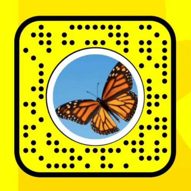 Unlock Butterflies Snap Lens Using A Snapcode