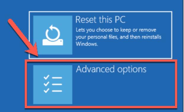 choose Advanced Options