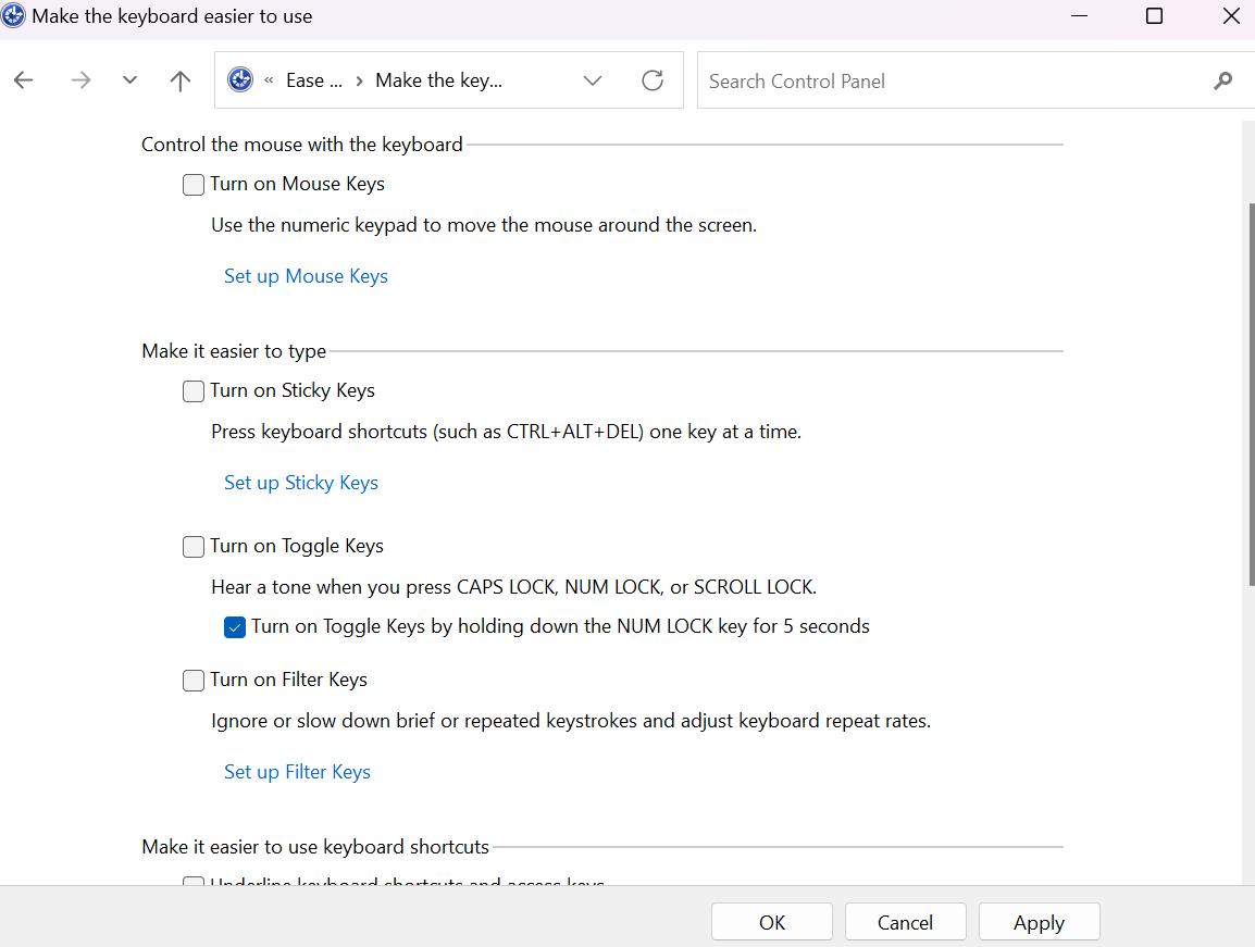Mouse Keys and Turn on Filter Keys