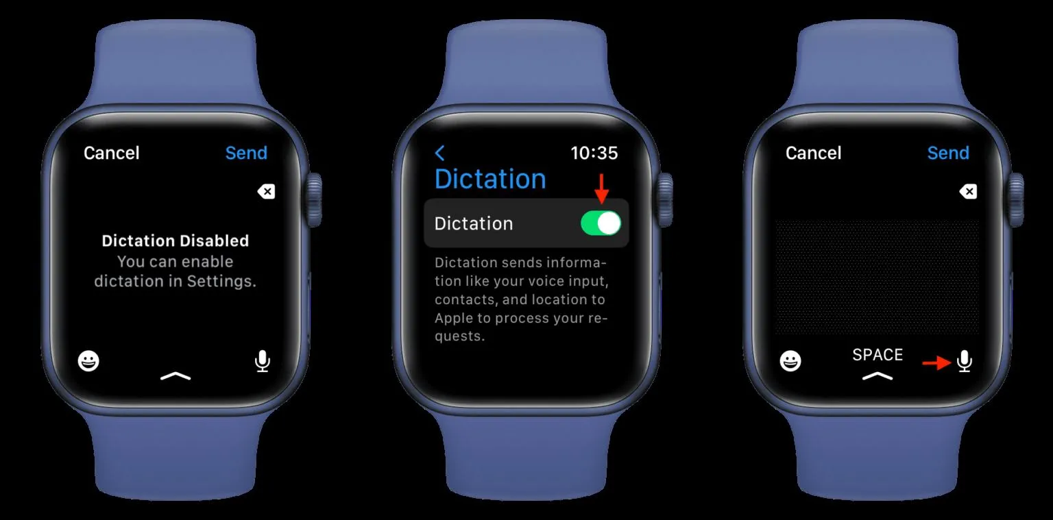 Dictation On Apple Watch